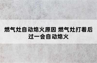 燃气灶自动熄火原因 燃气灶打着后过一会自动熄火